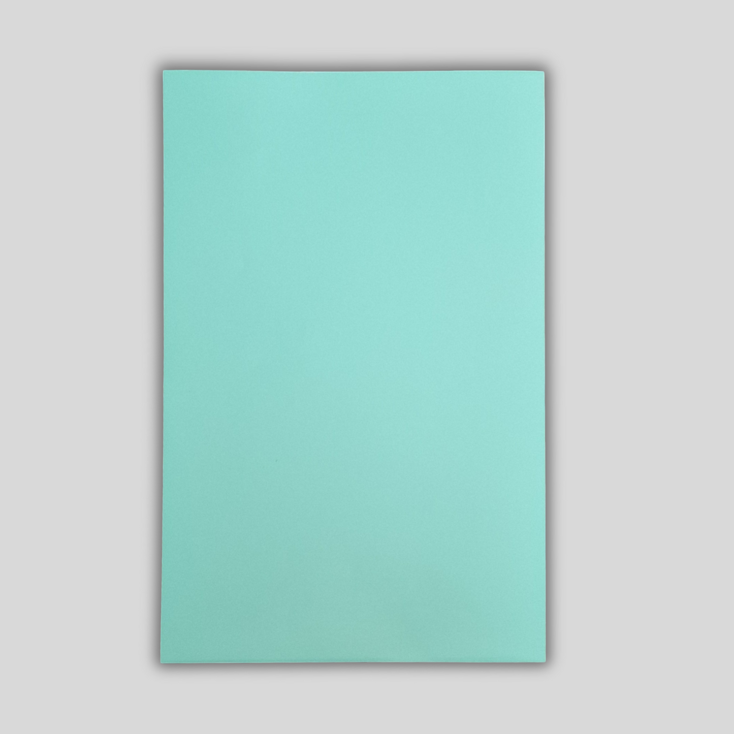 Oracal® 631 Exhibition Cal Matt, 20cm x 30cm in Farbe mint