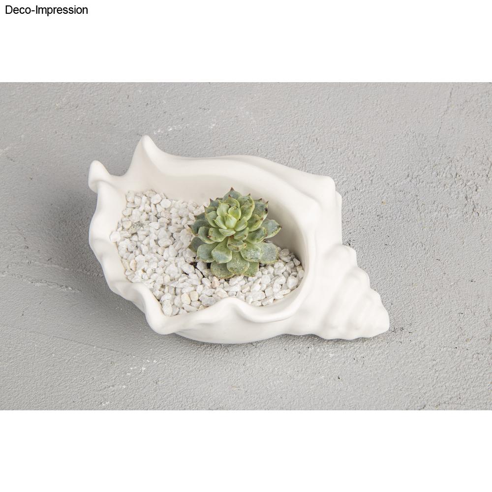 Silikon Gießform Schale Schneckenmuschel, 14,8 cm x 10 cm x 6,3cm Produktbild