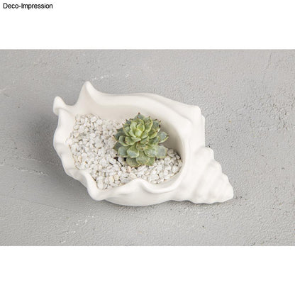 Silikon Gießform Schale Schneckenmuschel, 14,8 cm x 10 cm x 6,3cm Produktbild