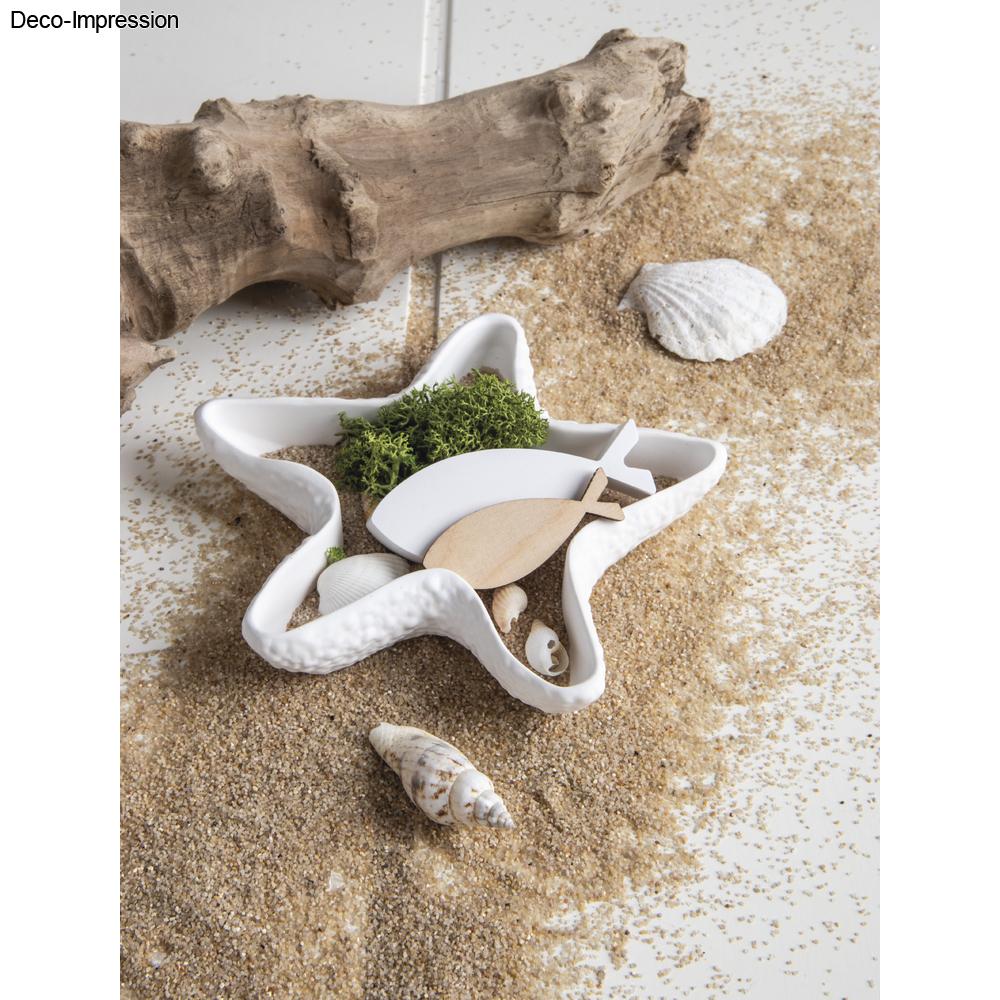 Silikon Gießformen Set Seestern+Muscheln  Produktbild