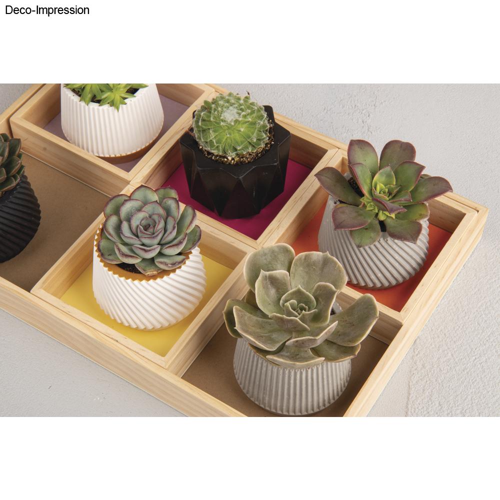 Silikon Gießformen Töpfchen – Set (3-teilig) - Produktbild