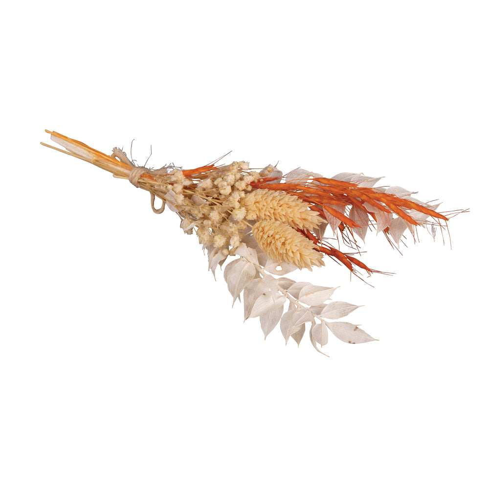 Trockenblumenstrauß – Orange, Mini-Bund (18–20 cm) - Produktbild