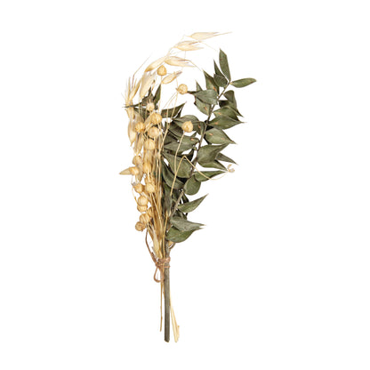 Trockenblumenstrauß – Piniengrün, Mini-Strauß (18–20 cm) - Produktbild